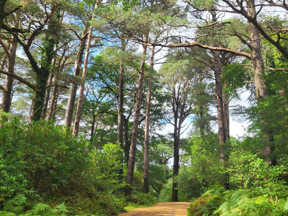 Killarney National Park