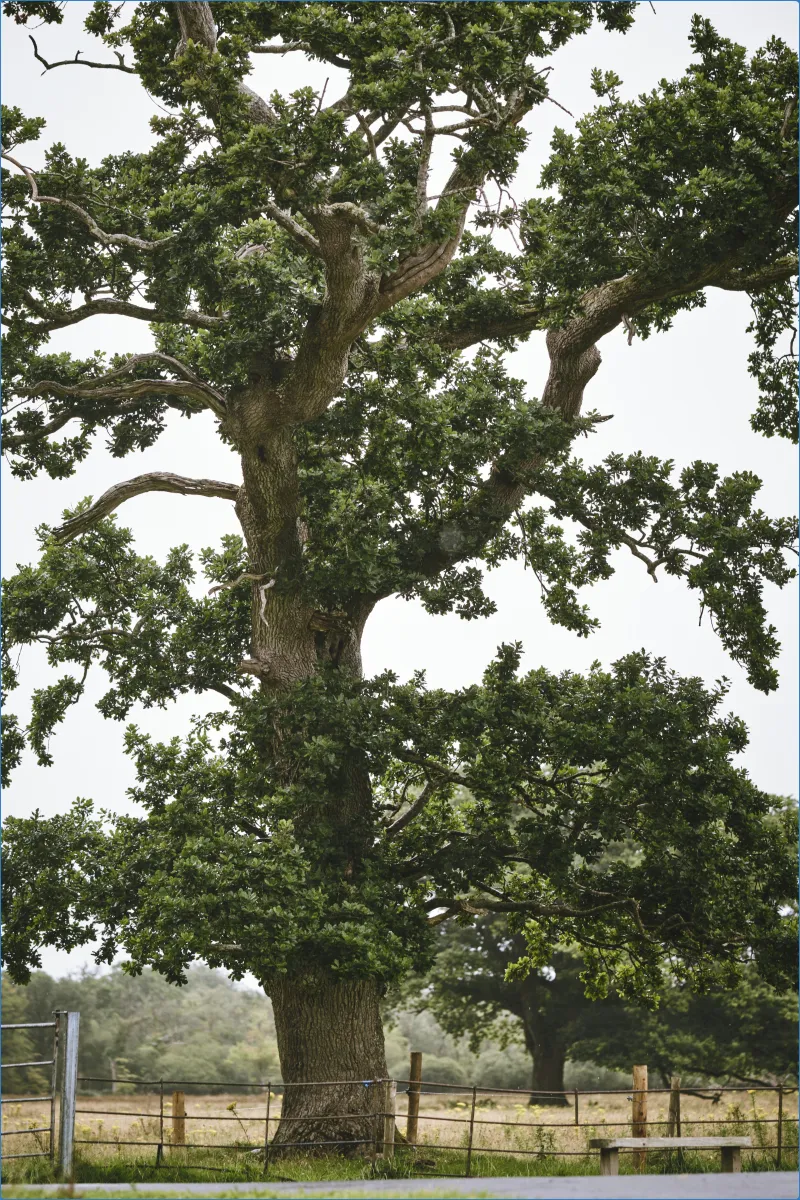 Killarney National Park