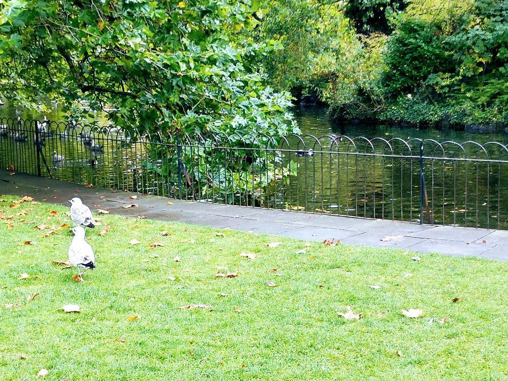 St. Stephen’s Green Park