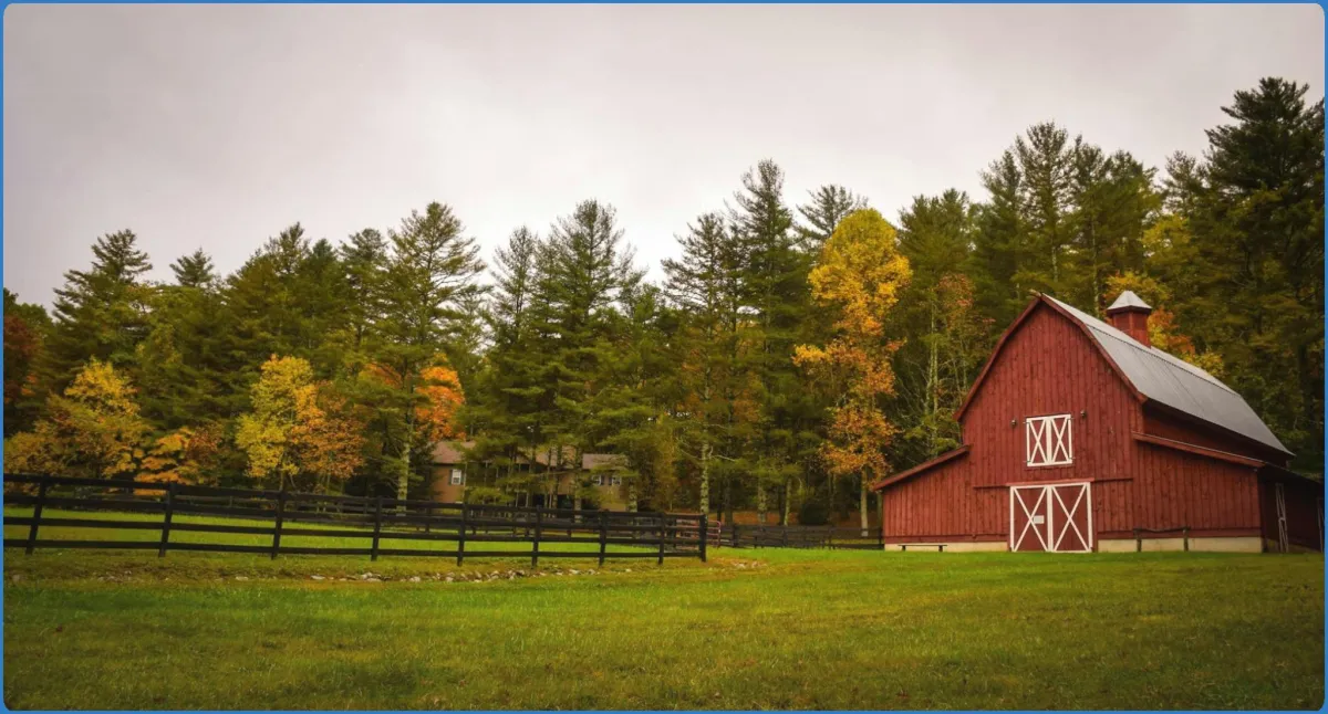 Molly Gallivan's Cottage & Traditional Farm