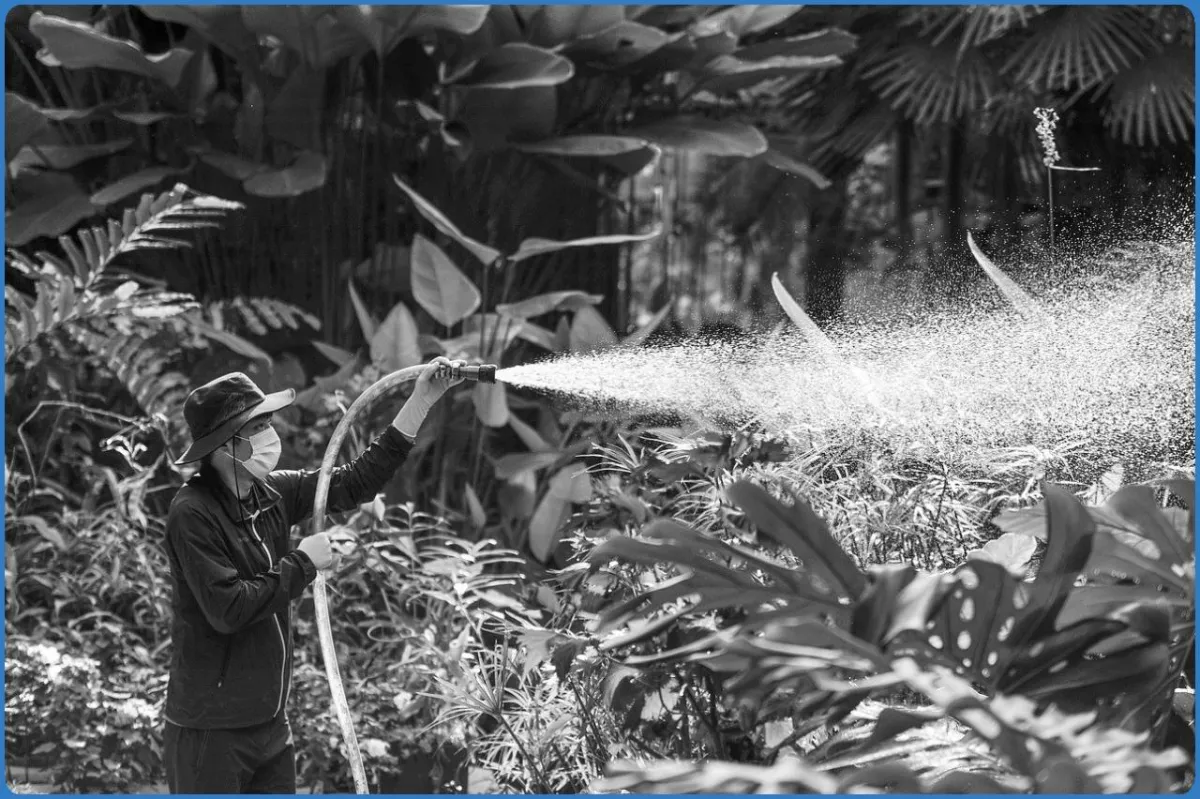 National Botanic Gardens