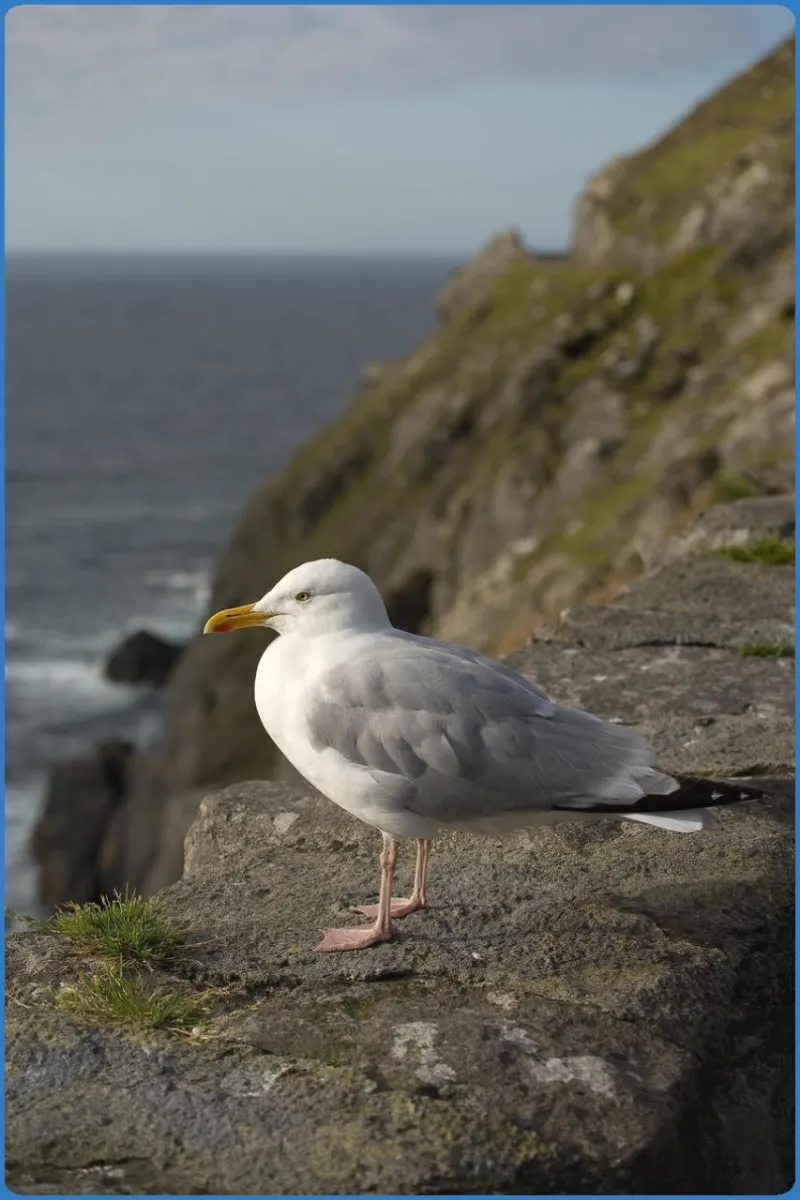 The Slea Head Drive