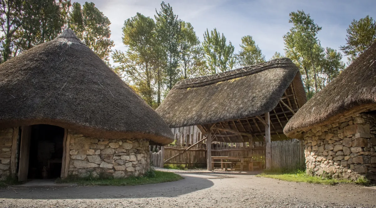 Irish National Heritage Park