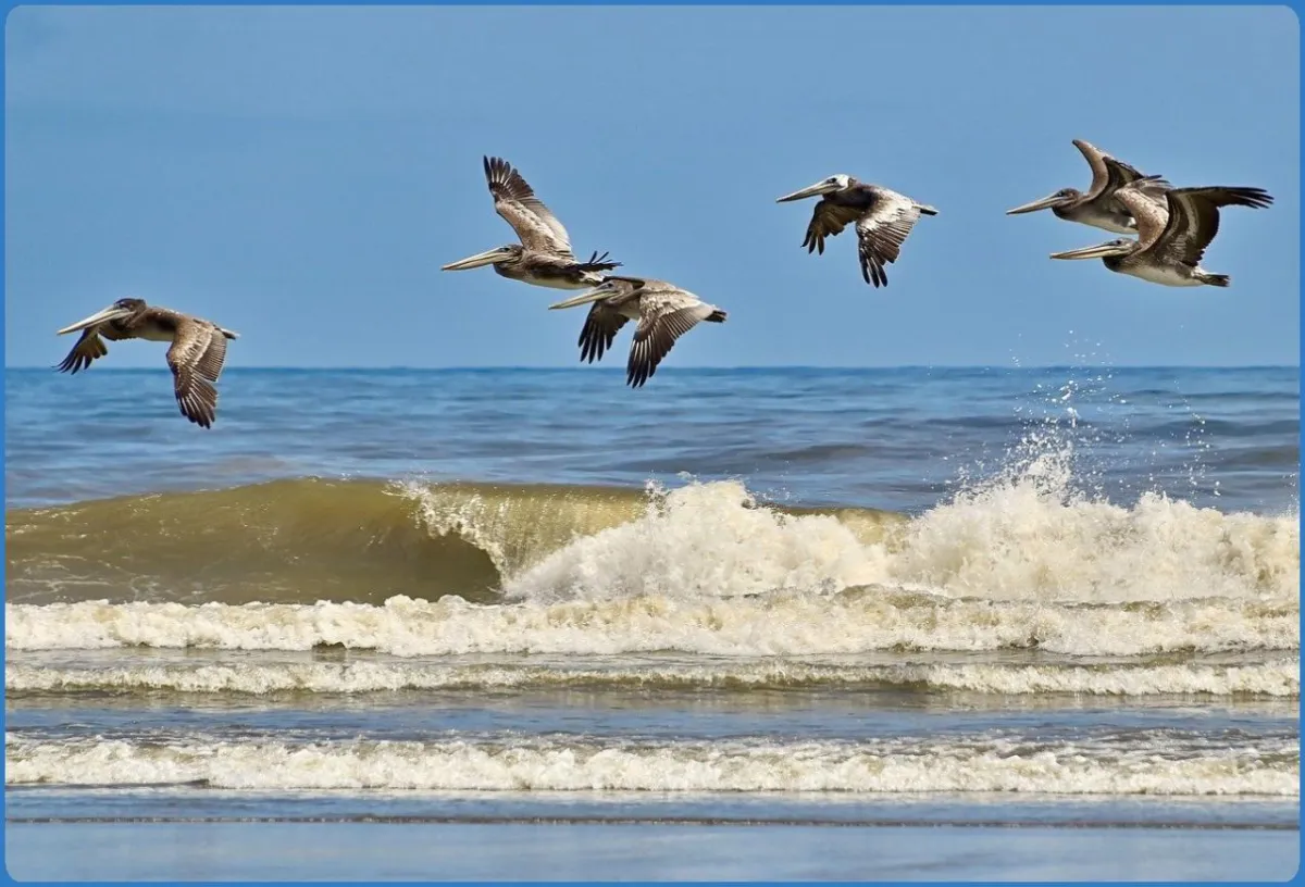 Curracloe Beach