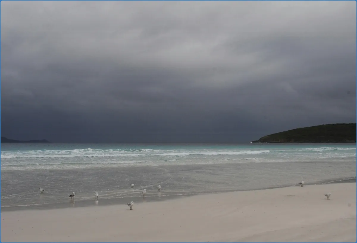 Dog's Bay Beach