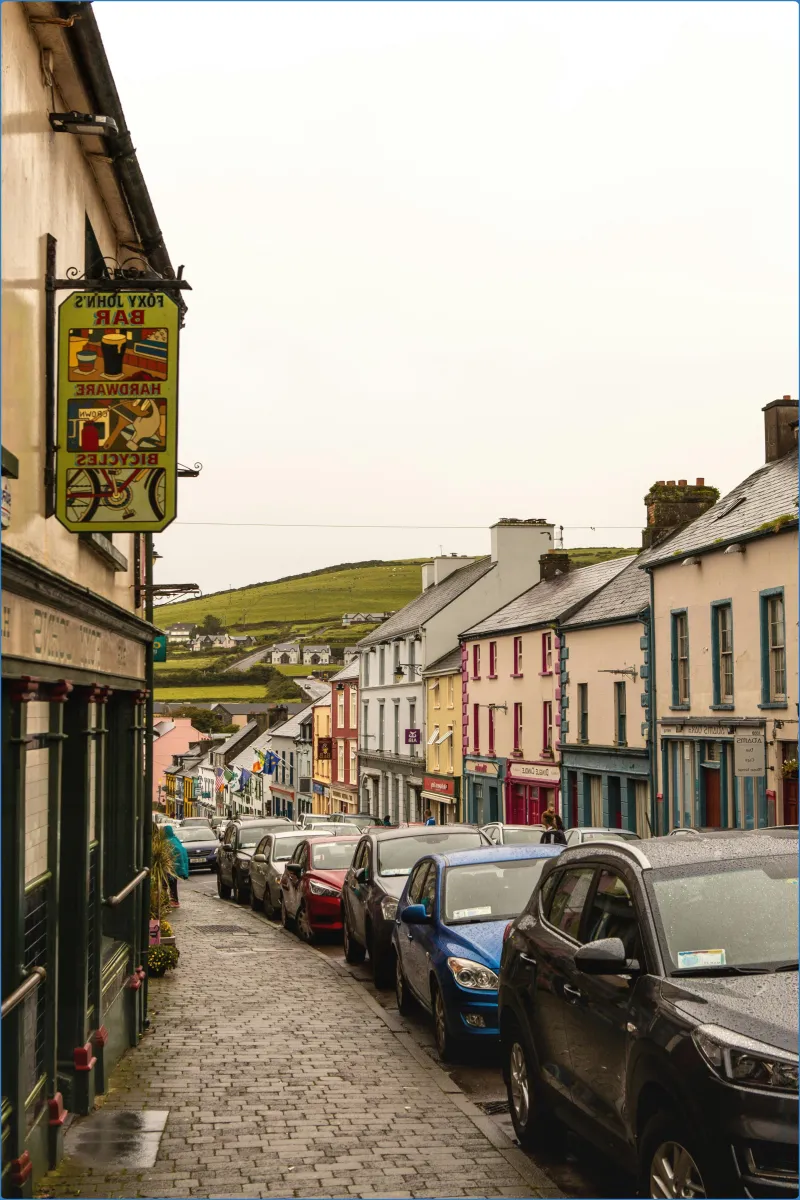 Kingdom Falconry - Dingle