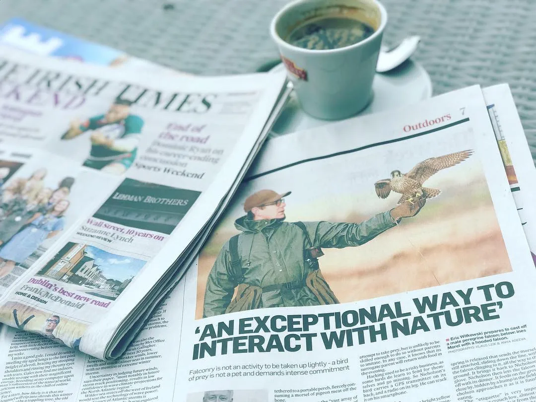 Kingdom Falconry - Dingle