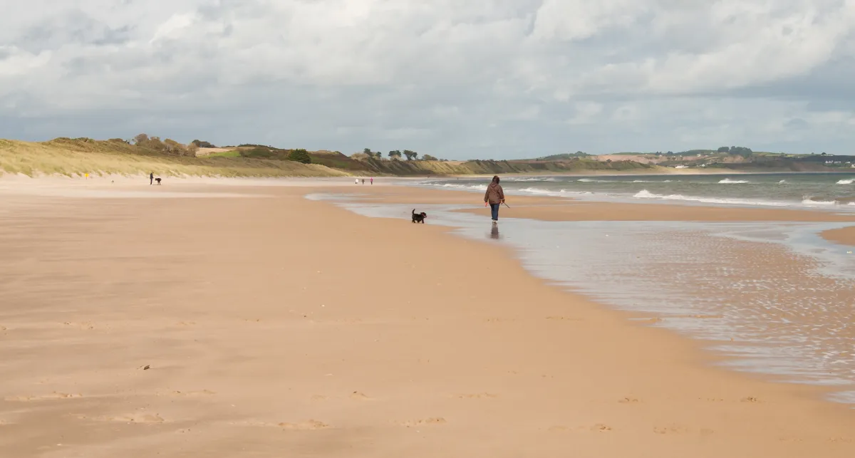 Curracloe Beach