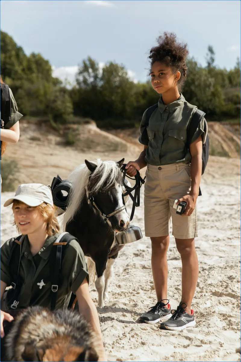 Hollywood Horse and Pony Trekking Centre