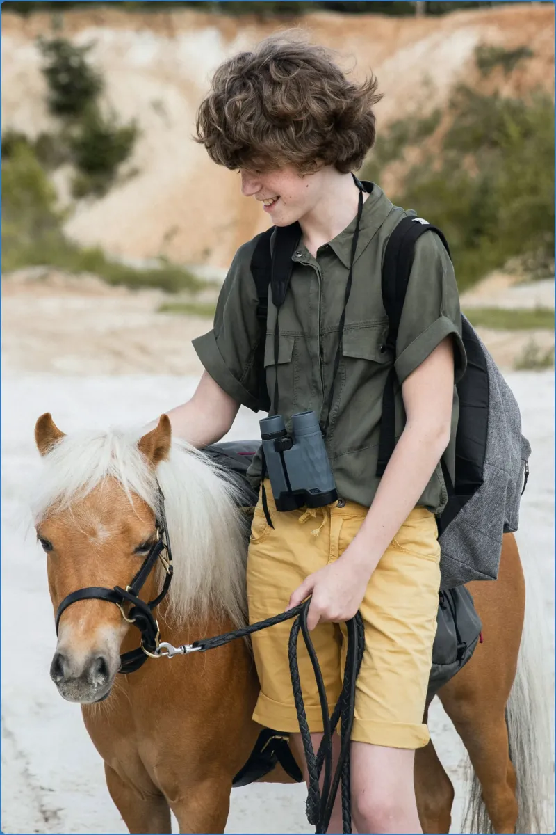Hollywood Horse and Pony Trekking Centre