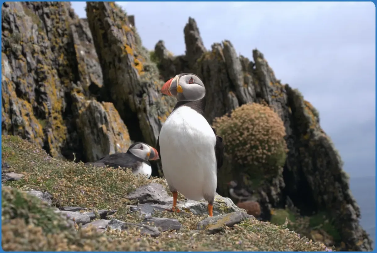 Skellig Michael