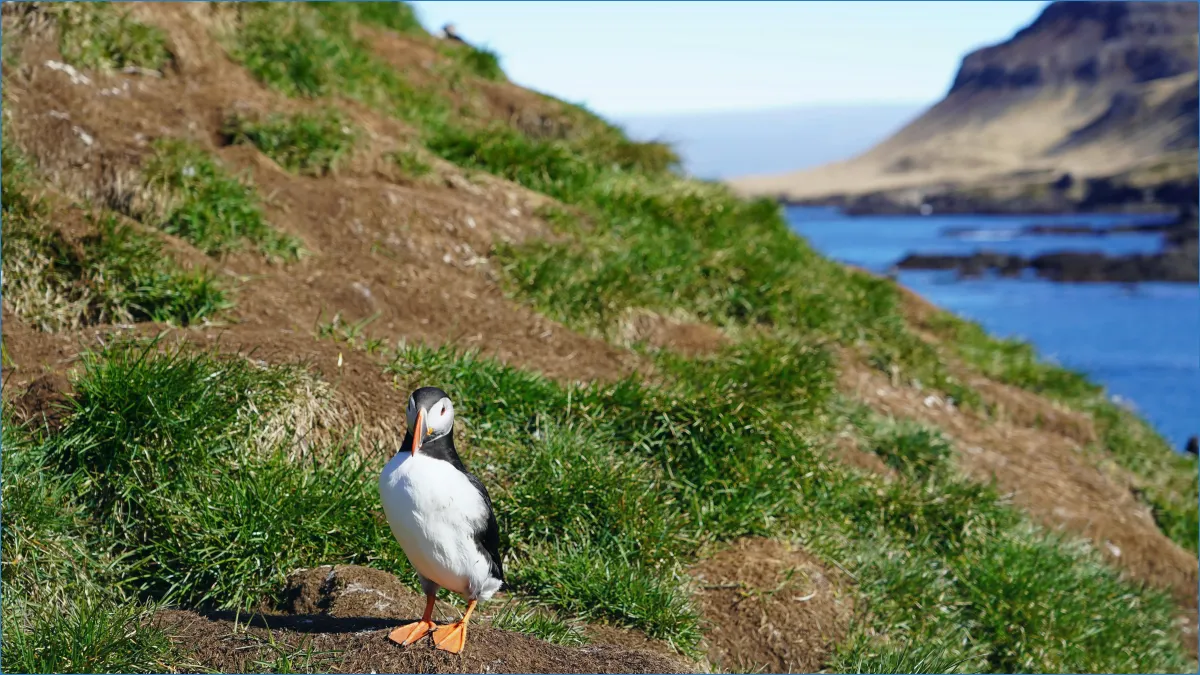 Skellig Michael