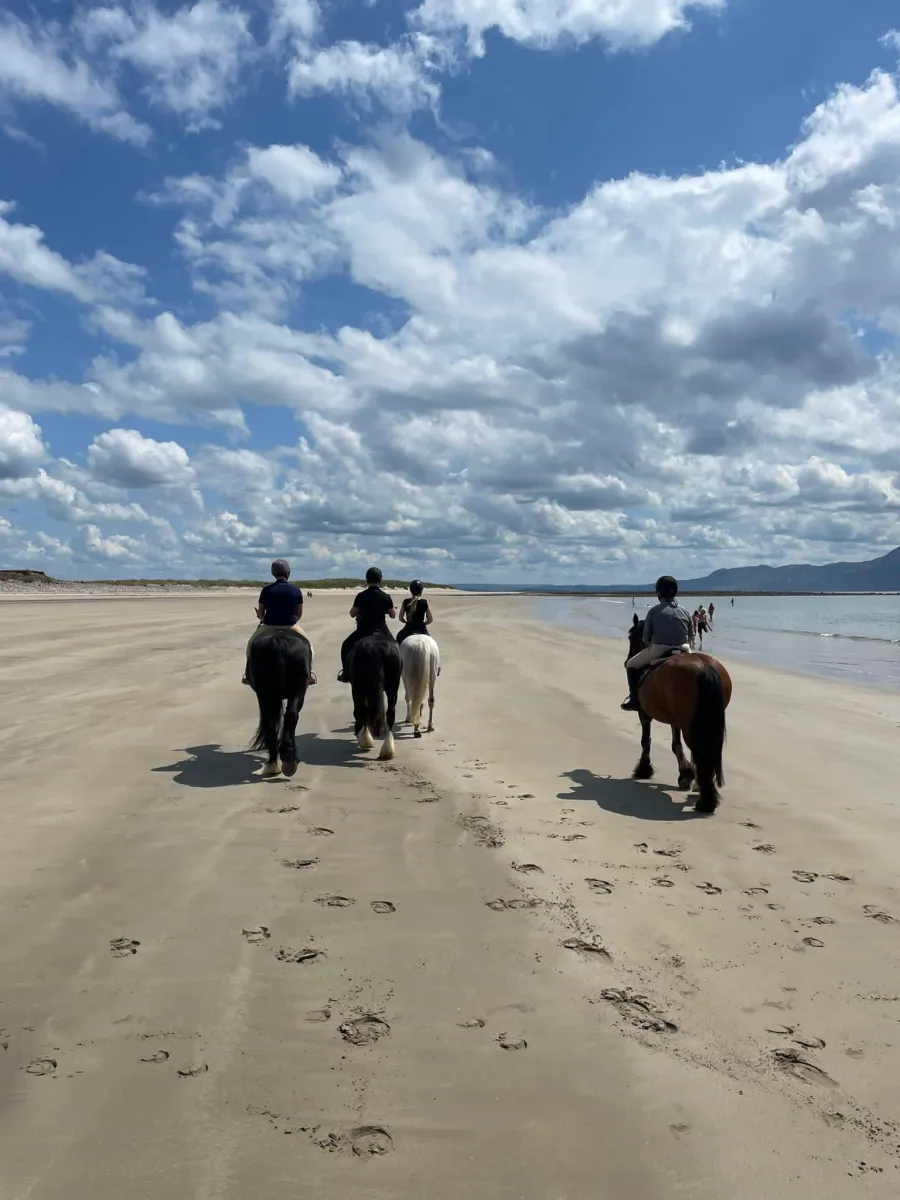 Carrowholly Stables & Trekking Centre
