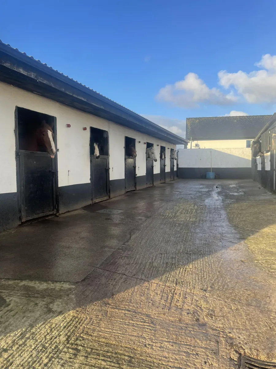 Carrowholly Stables & Trekking Centre