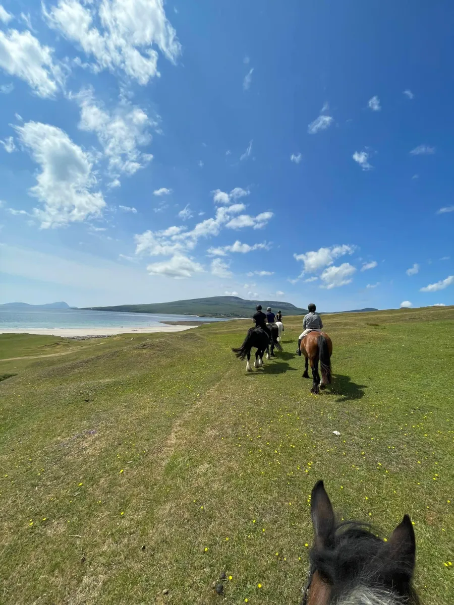 Carrowholly Stables & Trekking Centre