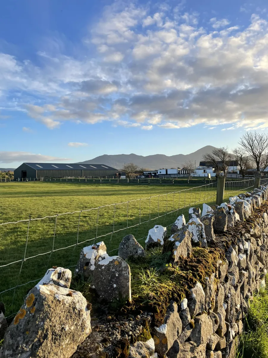 Carrowholly Stables & Trekking Centre
