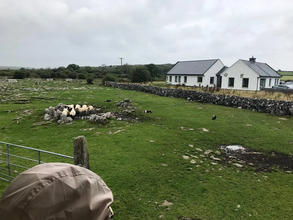 Caherconnell Stone Fort & Sheepdog Demonstrations