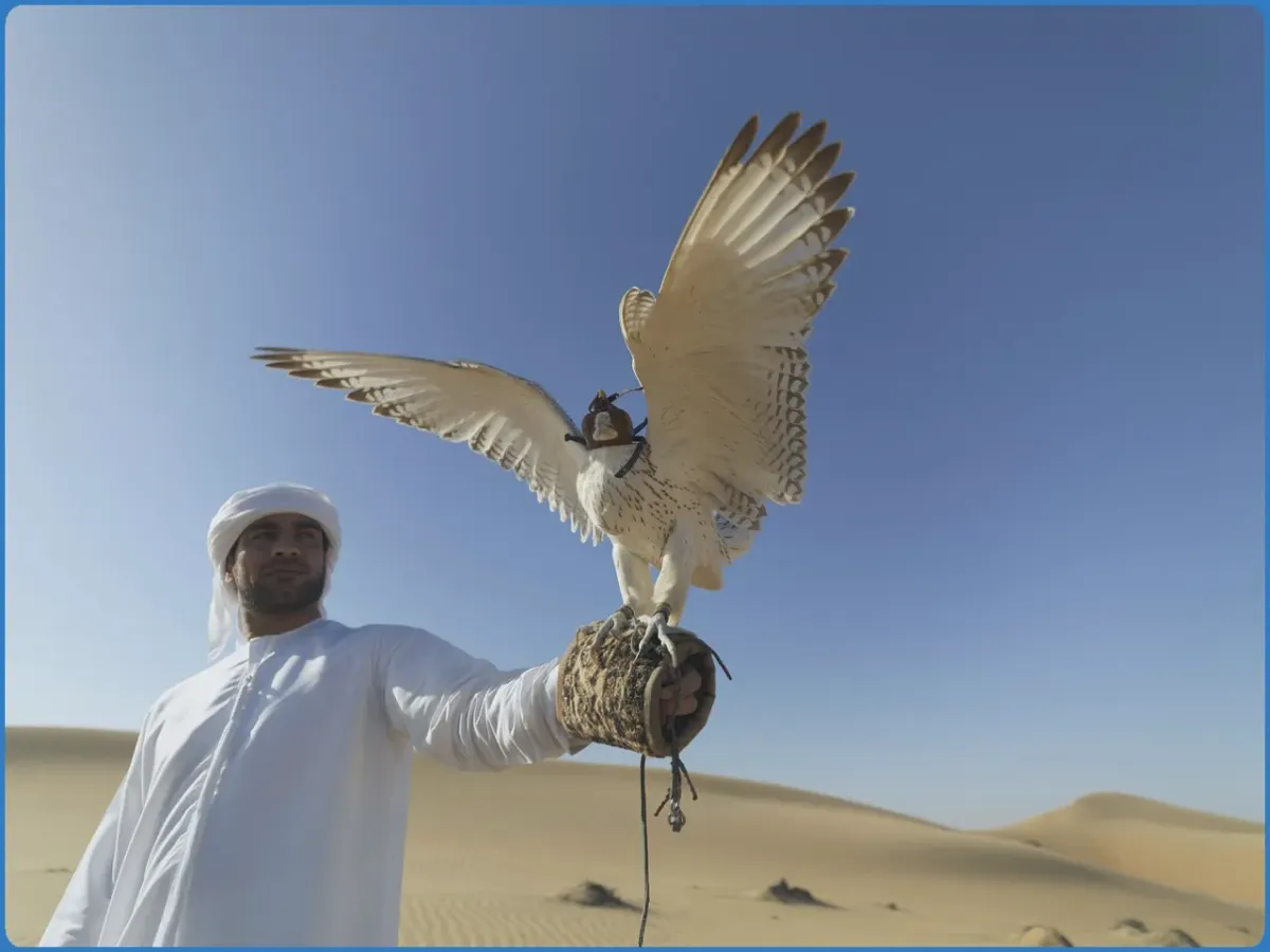 Person holding a falcon in the desert.