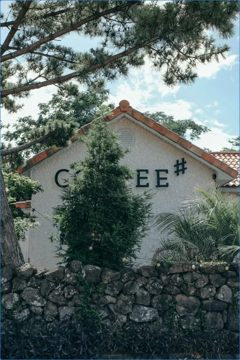 House with trees and stone wall